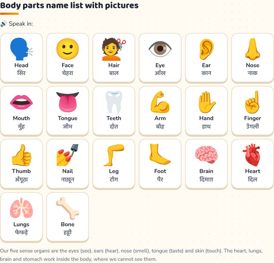 Body Parts Name in English and Hindi with Pictures · शरीर के अंगों के नाम — printable preview