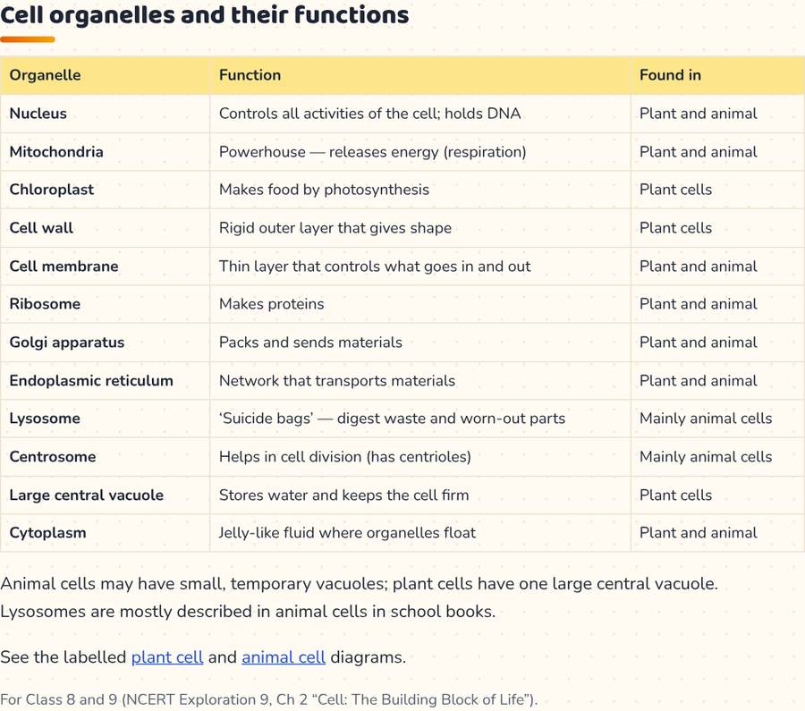 Cell Organelles and Their Functions · कोशिकांग — printable preview