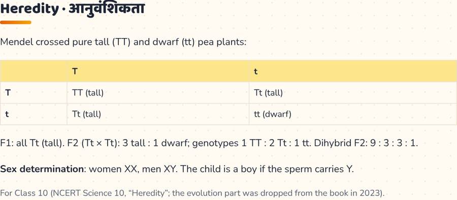 Heredity Class 10 · आनुवंशिकता — printable preview