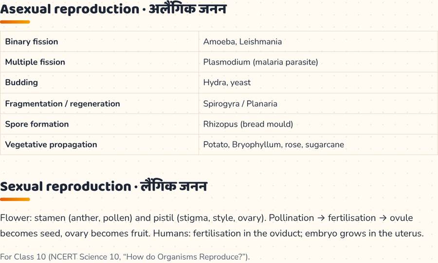 How Do Organisms Reproduce Class 10 · जीव जनन कैसे करते हैं — printable preview