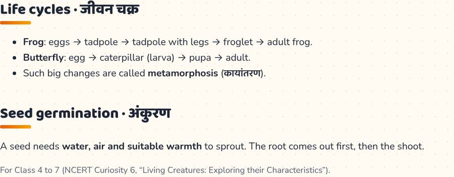 Life Cycle of Frog and Butterfly, Seed Germination · जीवन चक्र और अंकुरण — printable preview