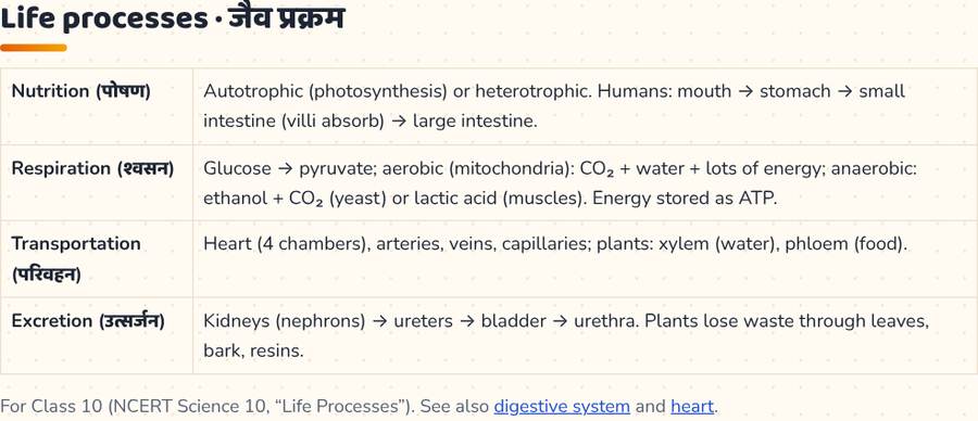 Life Processes Class 10 · जैव प्रक्रम — printable preview