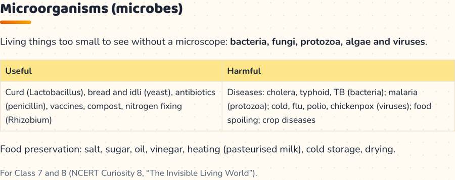 Microorganisms · सूक्ष्मजीव — printable preview