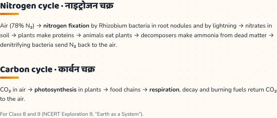 Nitrogen Cycle and Carbon Cycle · नाइट्रोजन और कार्बन चक्र — printable preview