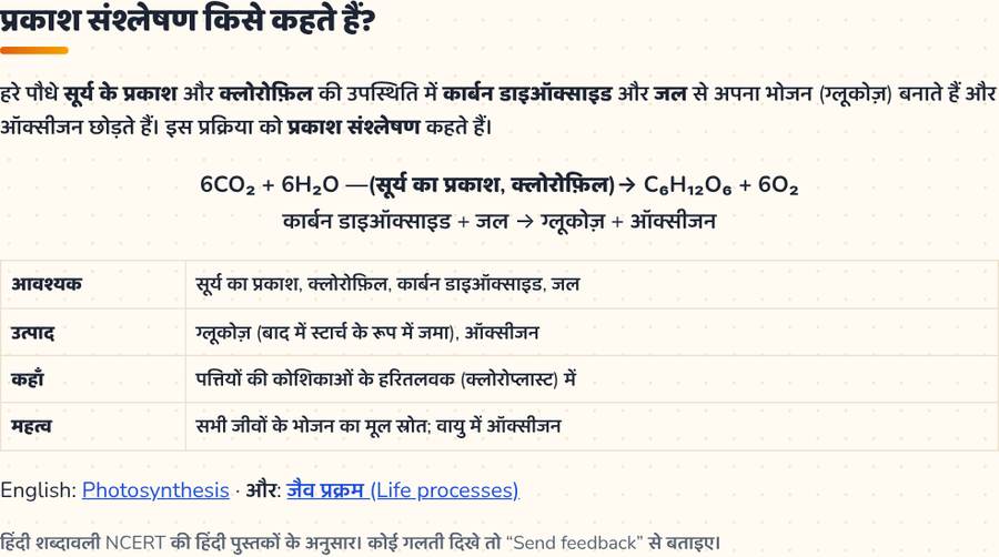 प्रकाश संश्लेषण · पौधे भोजन कैसे बनाते हैं — printable preview