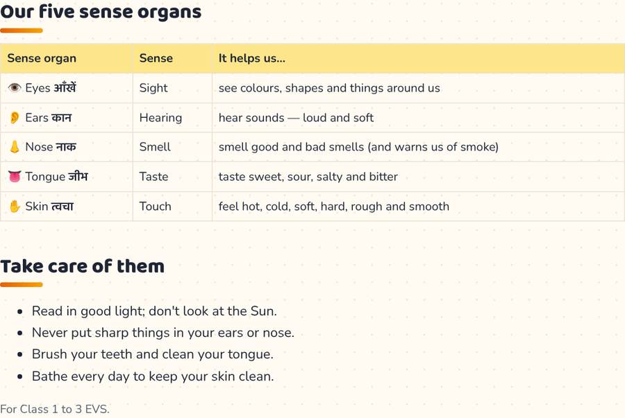 Five Sense Organs for Kids · पाँच ज्ञानेंद्रियाँ — printable preview