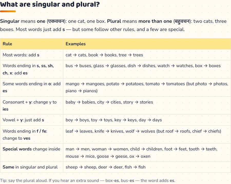 Singular and Plural for Kids · एकवचन और बहुवचन — printable preview