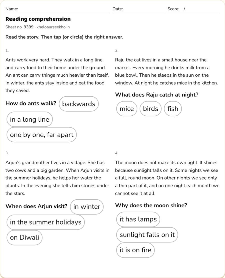 Reading comprehension Worksheet for Class 1–3 — printable preview