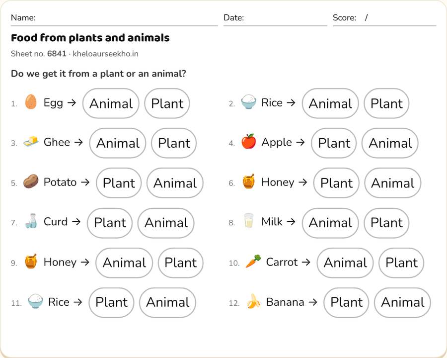 Food from plants and animals Worksheet for Class 2 — printable preview