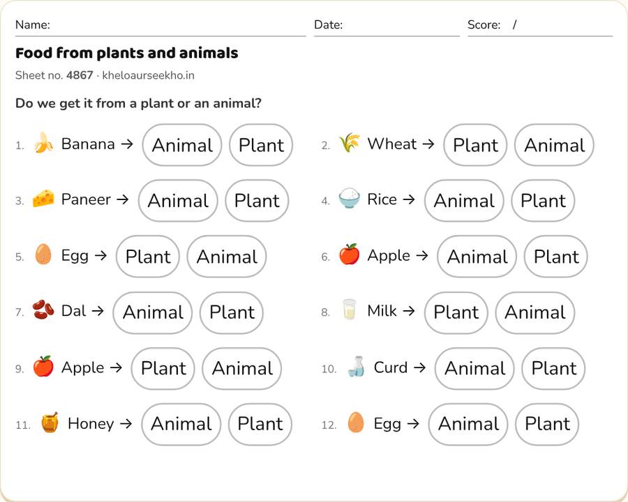 Food from plants and animals Worksheet for Class 3 — printable preview