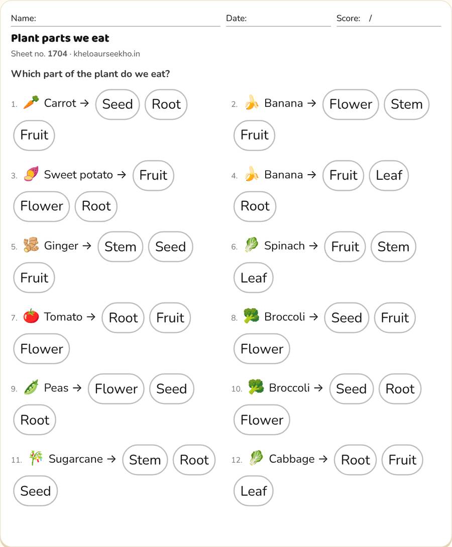 Plant parts we eat Worksheet for Class 3 — printable preview