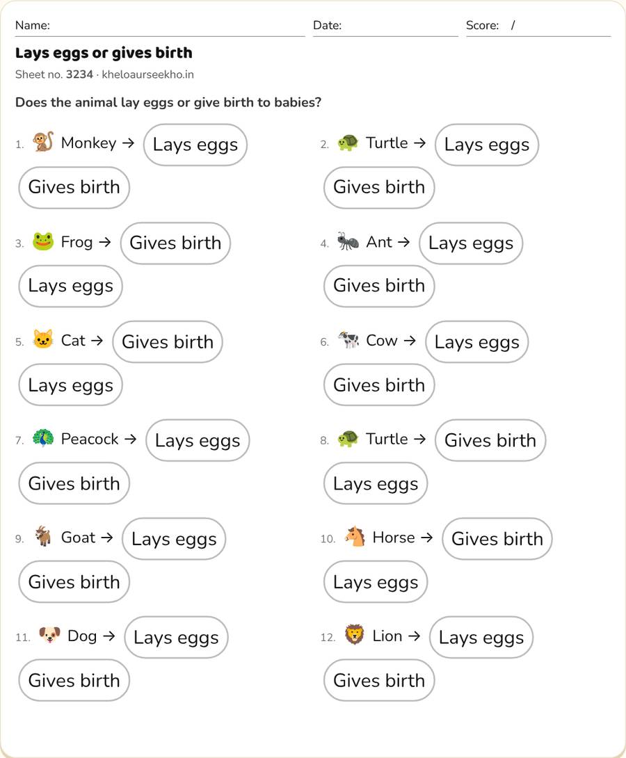 Lays eggs or gives birth Worksheet for Class 4 — printable preview