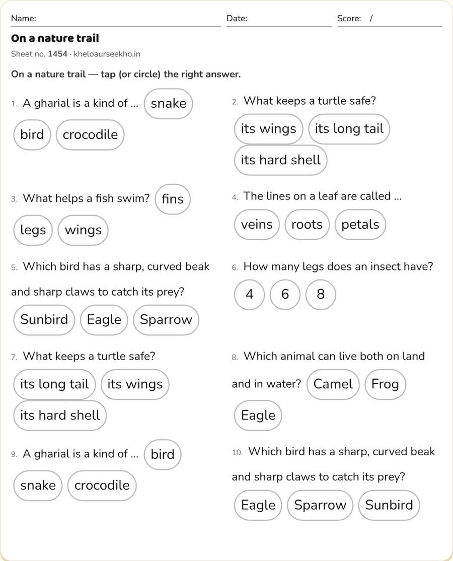 On a nature trail Worksheet for Class 4 — printable preview
