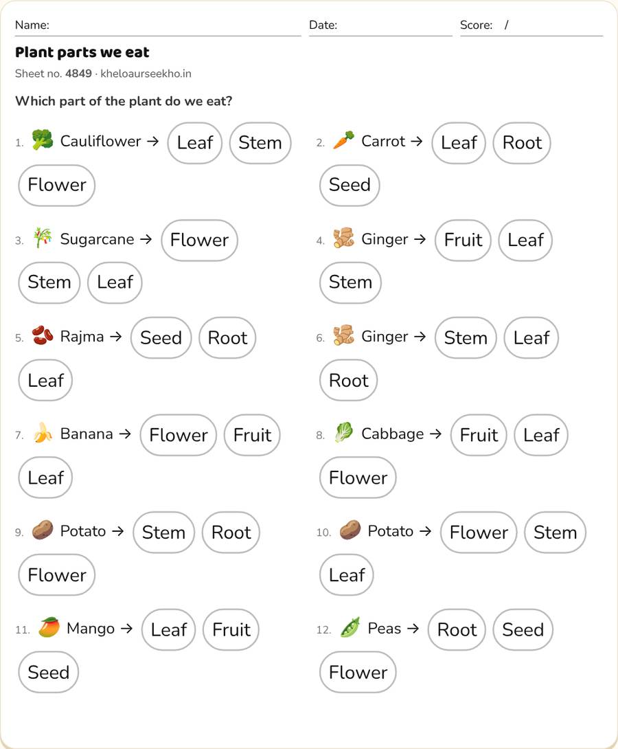 Plant parts we eat Worksheet for Class 4 — printable preview