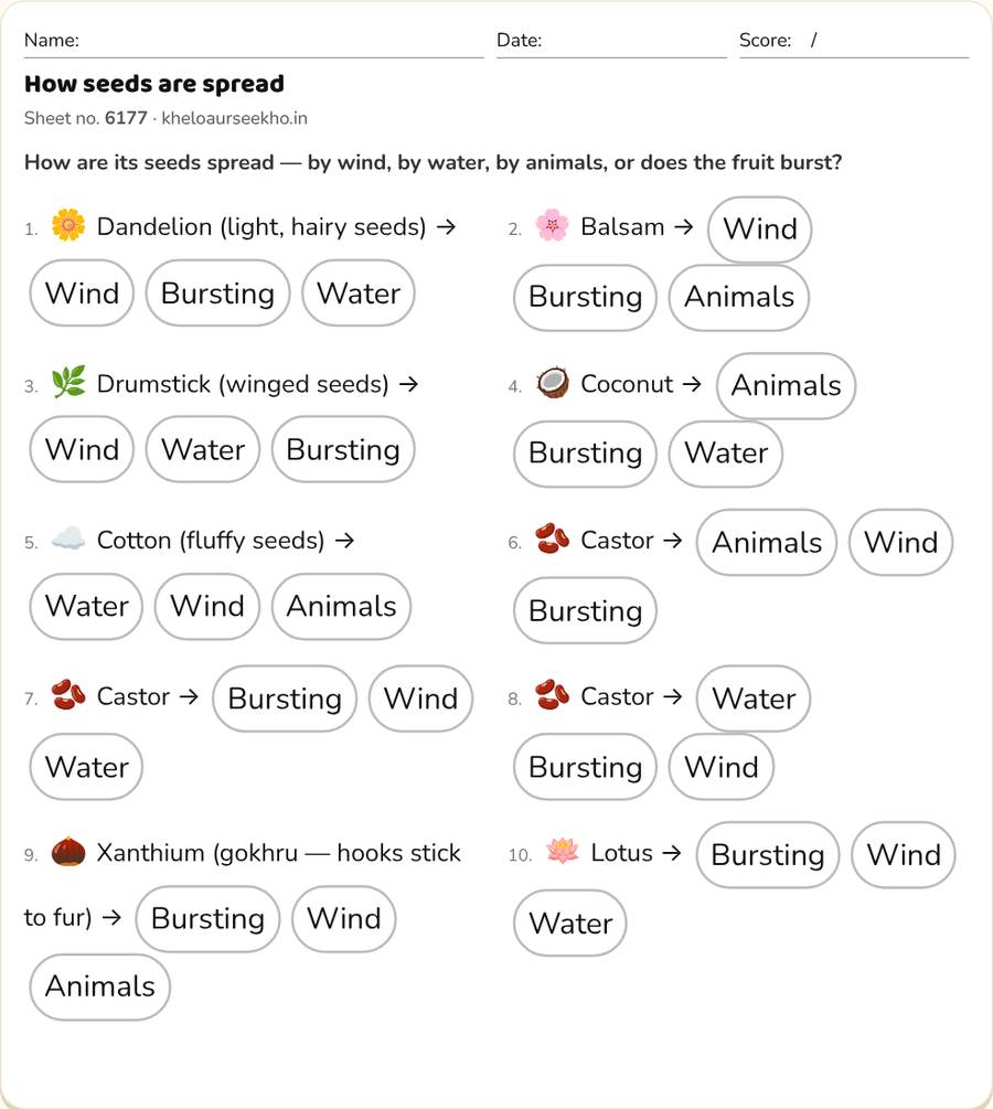 How seeds are spread Worksheet for Class 5 — printable preview